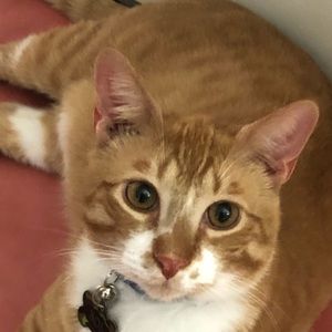 Meet your Posher, Kelly